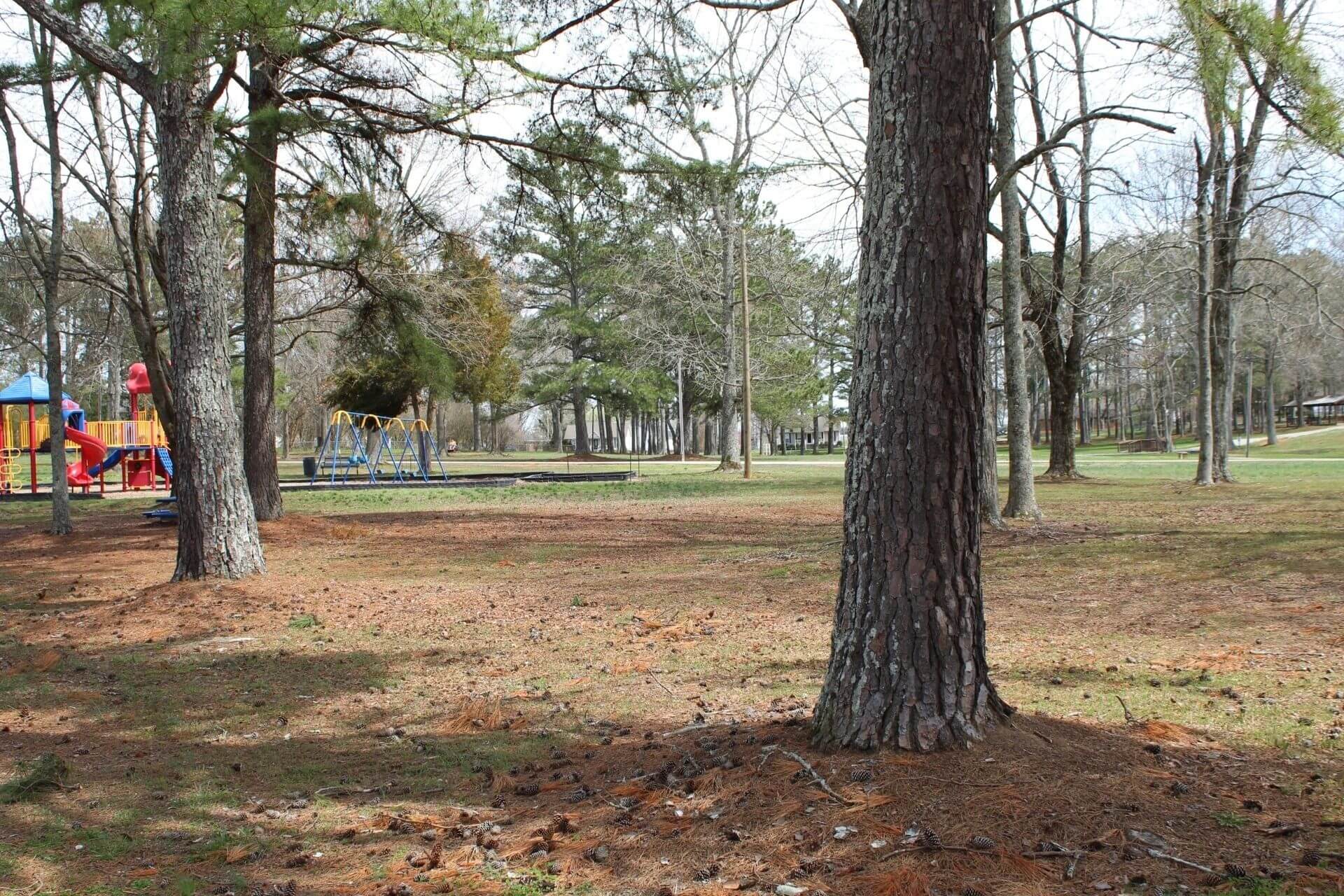 A park with trees and leaves on the ground.