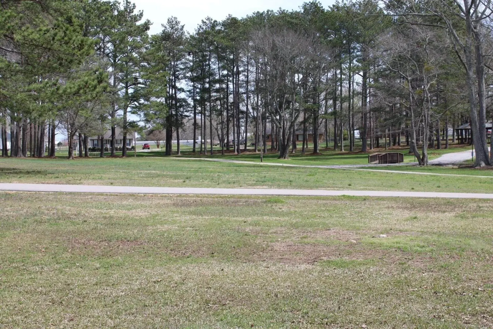 A grassy area with trees and a road.